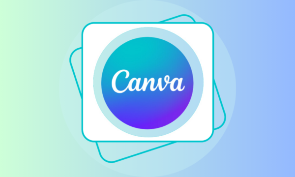 canva Owner Account