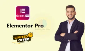 Elementor Pro Lifetime