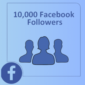 Buy Facebook followers using bKash from Best Digital Seba – fast and trusted service in Bangladesh
